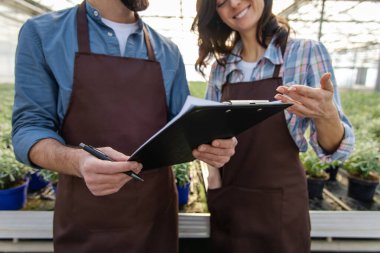 - Bir serada. Sera işçileri kalite kontrol kontrolünden sonra konuşuyorlar ve memnun görünüyorlar.
