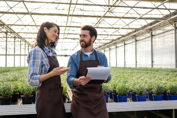 Рабочий процесс. Мужчина и женщина работают в теплице и обсуждают что-то