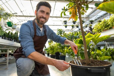 Bir serada çalışıyorum. Genç sakallı adam bir serada bitkilerle çalışıyor.