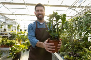 Sera işçisi. Sakallı genç bir adam saksıda çiçek tutuyor ve mutlu görünüyor.