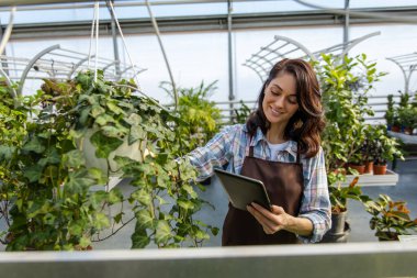 Sera mı? Koyu renk saçlı bir kadın cam evde çalışıyor. Bitkileri kontrol ediyor.