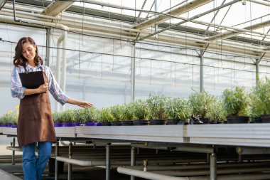 Kalite kontrolü. Sera denetçisi bitkileri kontrol edip notlar alıyor.