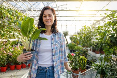 Bahar baharı için saksı ve fidanlık alan kadın müşteriler ve doğal çiçeklerle güzel ev dekorasyonları yapıyorlar.
