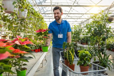Bahçe bakkalında saksı düzenleyen yetenekli bir çiçekçi.