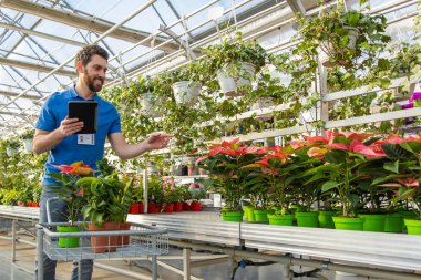 Çiçekçide satıcı. Bitkileri düzenliyor ve botanik ve bahçıvanlık sektöründe çalışıyor.