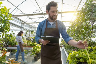 Sakallı girişimci, serada küçük işletmeler yürütüyor. Satılık bitki ve çiçekler yetiştiriyor.