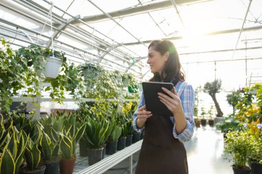 Çiçekçide çalışan esmer kadın çiçekçi ya da serada bitki ve çiçek yetiştiren botanik merkezi