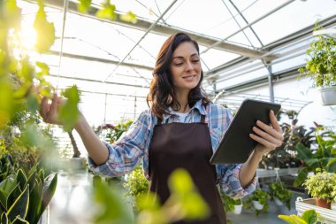 Gülümseyen kadın girişimci serada küçük bir iş yürütüyor. Satılık bitki ve çiçekler yetiştiriyor.
