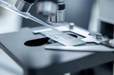 - Bilim. Merceğin altında bir test bardağıyla mikroskobu kapat