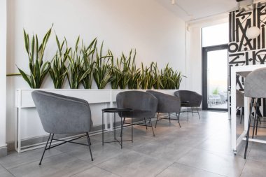 Dinlenme odası. Ofiste yumuşak mobilyaları olan bir dinlenme odası.