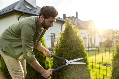 Bahçıvanlık. Genç beyaz bir adam bahçede kuru erikle çalıları kesiyor.