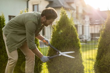Bahçıvanlık. Bahçedeki adam kuru erikle çalışıyor ve ilgili görünüyor.