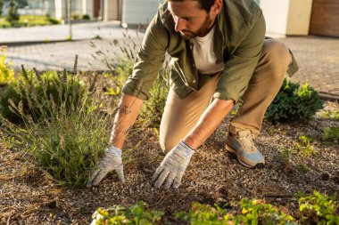 Çiçek ekiyorum. Kulübe bahçesinde çalışan ve çiçekleri eken adam.