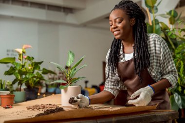 Çiçekçi iş başında. Çiçekçide çiçekçiyle çalışan genç bir bayan çiçekçi.