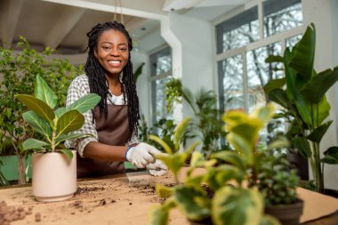 Çiçekçi iş başında. Çiçekçide çiçekçiyle çalışan genç bir bayan çiçekçi.
