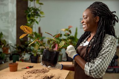 Çiçekçi iş günü. Çiçekçide çalışan ve kendini iyi hisseden genç bir kadın.
