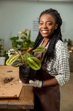 Çiçekçi iş günü. Çiçekçide çalışan ve kendini iyi hisseden genç bir kadın.