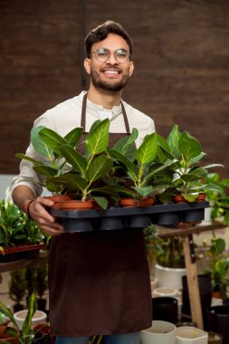 Çiçekçide çalışıyorum. Gözlüklü gülümseyen genç adam, elinde saksılar ve bakmaktan zevk alıyor.