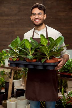 Çiçekçide çalışıyorum. Gözlüklü gülümseyen genç adam, elinde saksılar ve bakmaktan zevk alıyor.