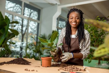 Çiçekçide. Şirin Afrikalı Amerikalı çiçekçi çiçekçiye çiçek dikiyor.