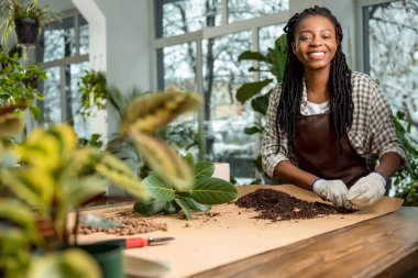 Çiçek ekme. Çiçekleri dikerken saksıya toprak koyan çiçekçi.