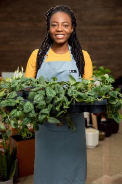 Çiçekli mutlu kadın. Gülümseyen Afro-Amerikan kadın çiçek saksılarıyla mutlu görünüyor.