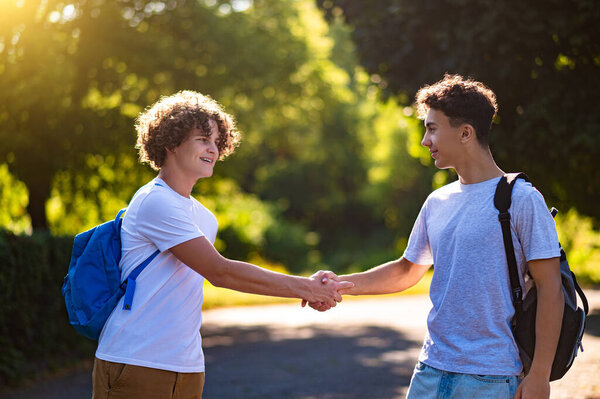 Дружба. Двое друзей встречаются, пожимают руки и выглядят довольными.