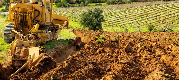 Farmer Tills Soil Heavy Crawler Tractor Planting New Vineyard Agricultural — Stock Photo, Image