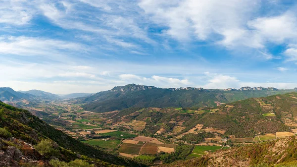 Krajina Vinohradnictvím Pro Výrobu Vína Sardinie Itálie Tradiční Zemědělství — Stock fotografie