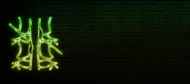 Yenilikçi Omurga Tedavileri Perkütanöz ve Endoskopik Disktomi Rolü