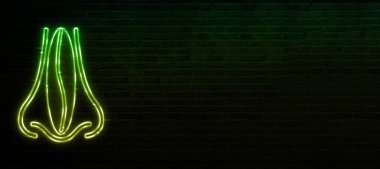 Endoskopik Septoplasti Prosedürü Deviated Septum için Modern Çözüm