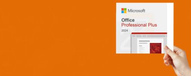 Microsoft Ofisi 2024 Profesyonel Artı