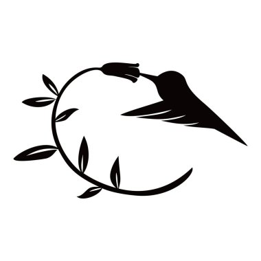 hummingbird silhouette design. exotic bird sign and symbol.