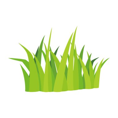 grass vector illustration. green plant in yard.