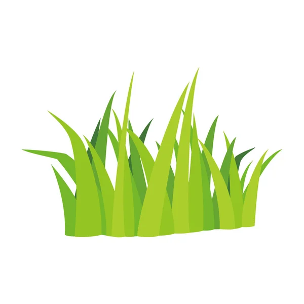 Çim Vektör Çizimi Bahçedeki Yeşil Bitki — Stok Vektör