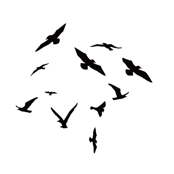 Seagull Bird Silhouette Beach Animal Sign Symbol — Stock Vector