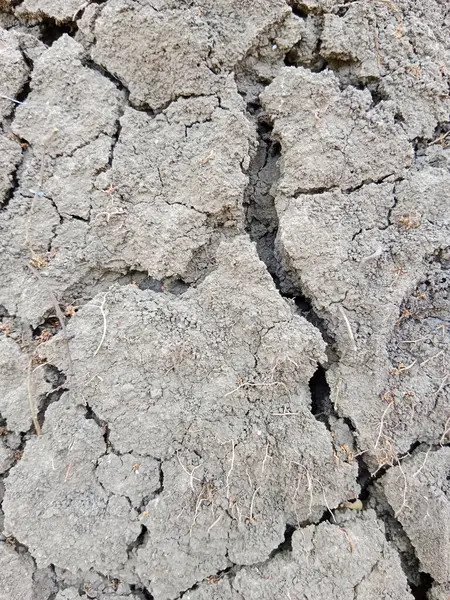 ひび割れた乾燥した土の質 割れた乾燥した地面 — ストック写真