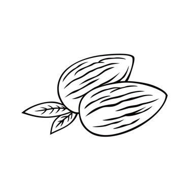 Badem fıstığı vektör illüstrasyonu. Sağlıklı gıda diyeti işareti ve sembolü.
