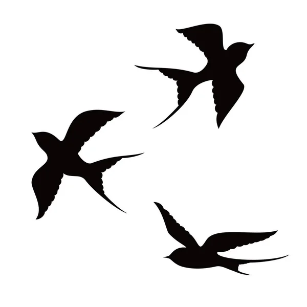 燕子鸟的轮廓设计 鸟类飞行标志和符号 — 图库矢量图片#