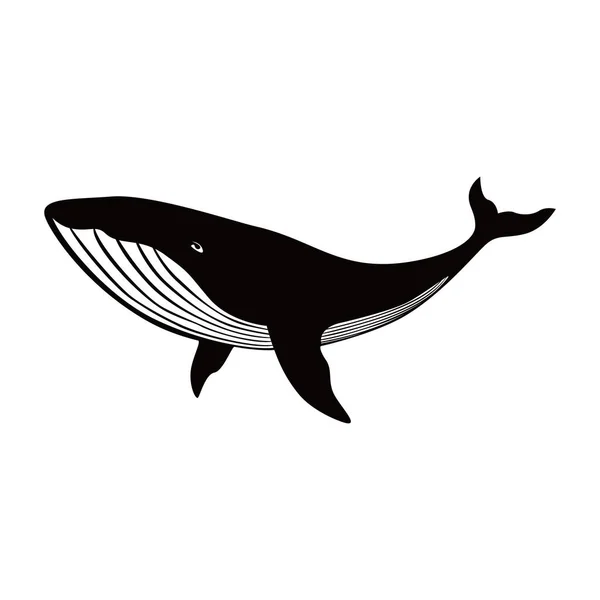 Дизайн Силуэта Горбатого Кита Знак Символ Морских Млекопитающих Стоковая Иллюстрация