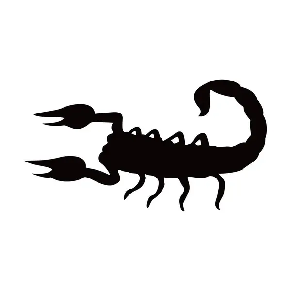 stock vector black scorpion silhouette design. dangerous animal sign and symbol. 