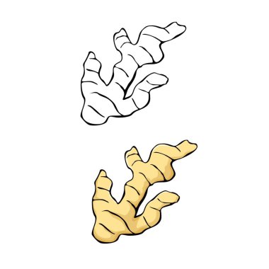 Kızıl çizim tasarımı. bitkisel işaret ve sembol.