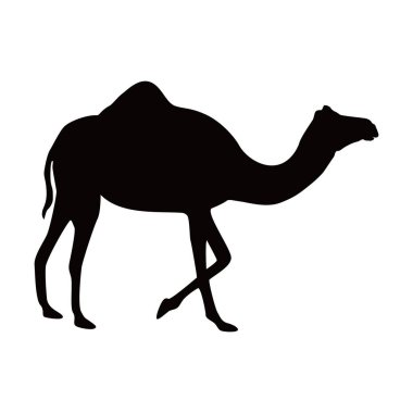 Deve silueti tasarımı. Çöl hayvanı işareti ve sembolü..
