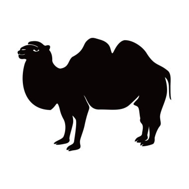 Deve silueti tasarımı. Çöl hayvanı işareti ve sembolü..