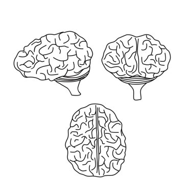 İnsan beyni silueti tasarımı. Zeka işareti ve sembol. Bilgi ve beyin fırtınası kavramı.