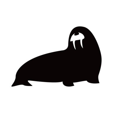 walrus silhouette design. aquatic animal sign and symbol. clipart