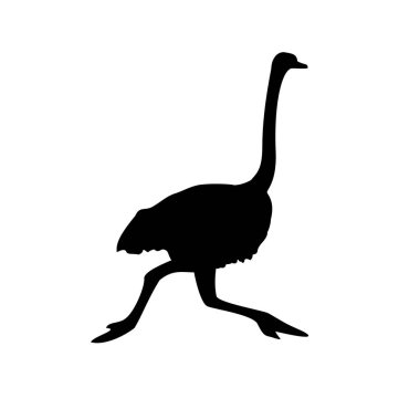 Devekuşu kuş silueti tasarımı.