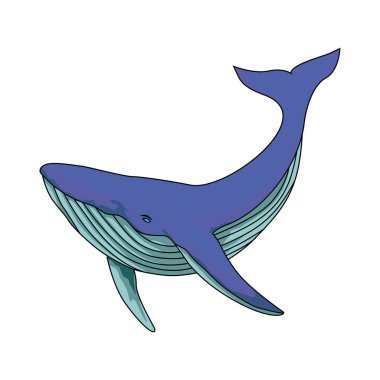 Kambur balina çizgi film tasarımı. büyük balık sembolü.