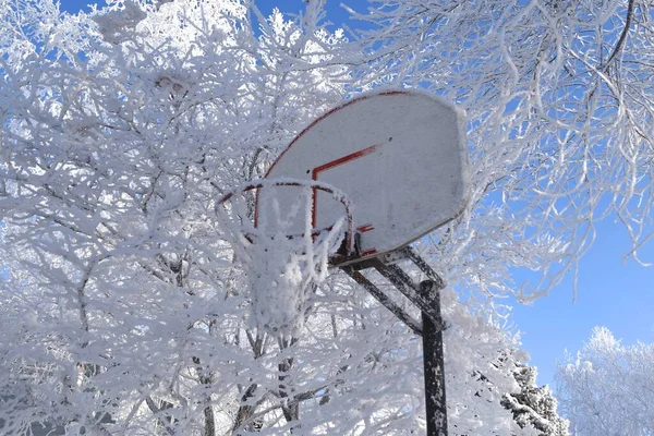 Hoarfrost Bedekt Een Basketbalnet Velg Omliggende Bomen — Stockfoto