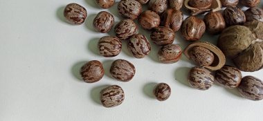 Beyaz arkaplanda fındıklar